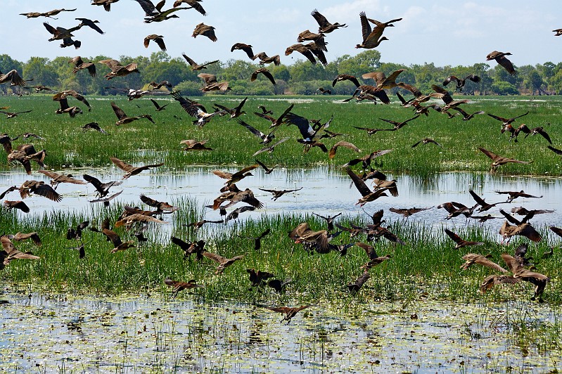 2009-11-06 22-01-18_1.jpg - Massenpanik